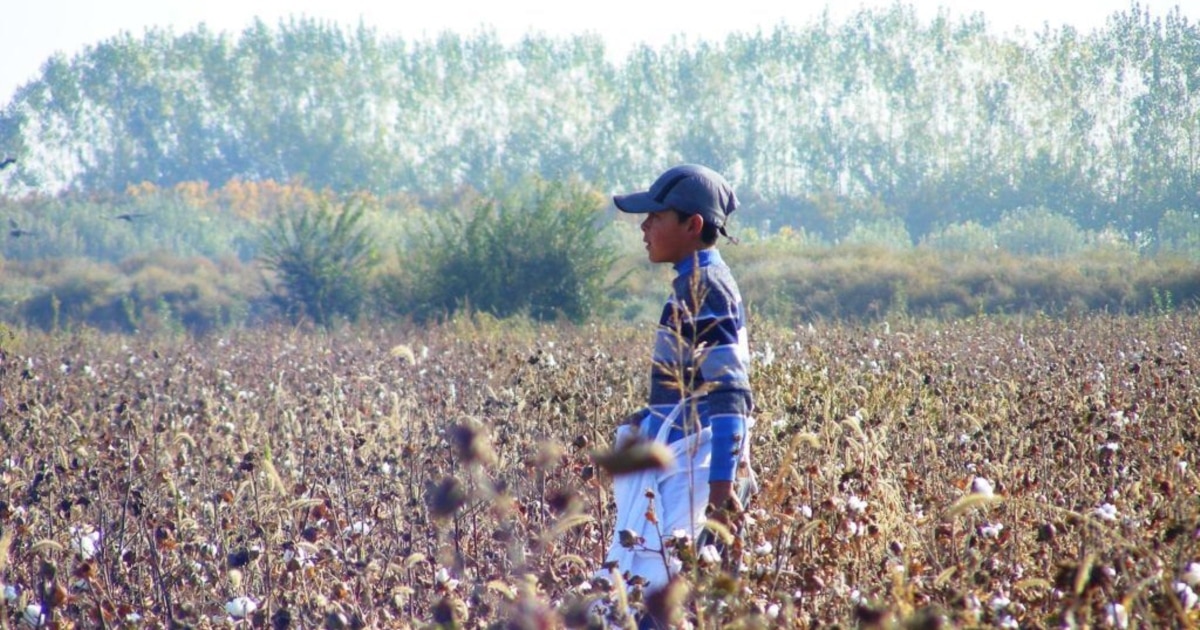 Желідегі топтық секс кештері