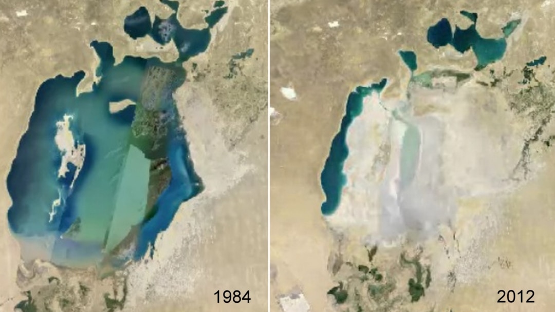 Uxlab yotgan bolani sorib oldi