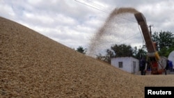 FILE PHOTO: Workers storage grain at a terminal during barley harvesting in Odesa region
