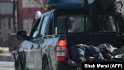آرشیف، عکس جنبه تزئینی دارد