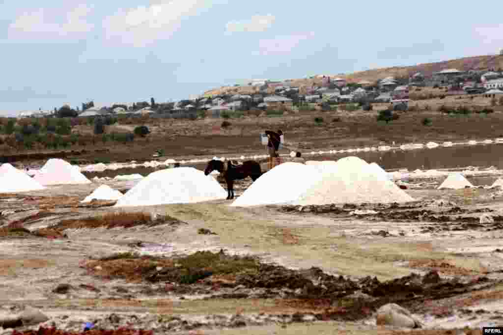 Çörəyi duzdan çıxaranlar #17