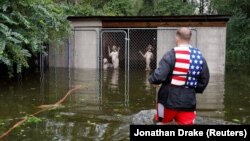 Ջրհեղեղ ԱՄՆ Հյուսիսային Կարոլինա նահանգում, 16-ը սեպտեմբերի, 2018թ․