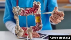 Cancerul colorectal este o boală malignă care apare atunci când celulele din intestinul gros sau din rect încep să se înmulțească necontrolat.