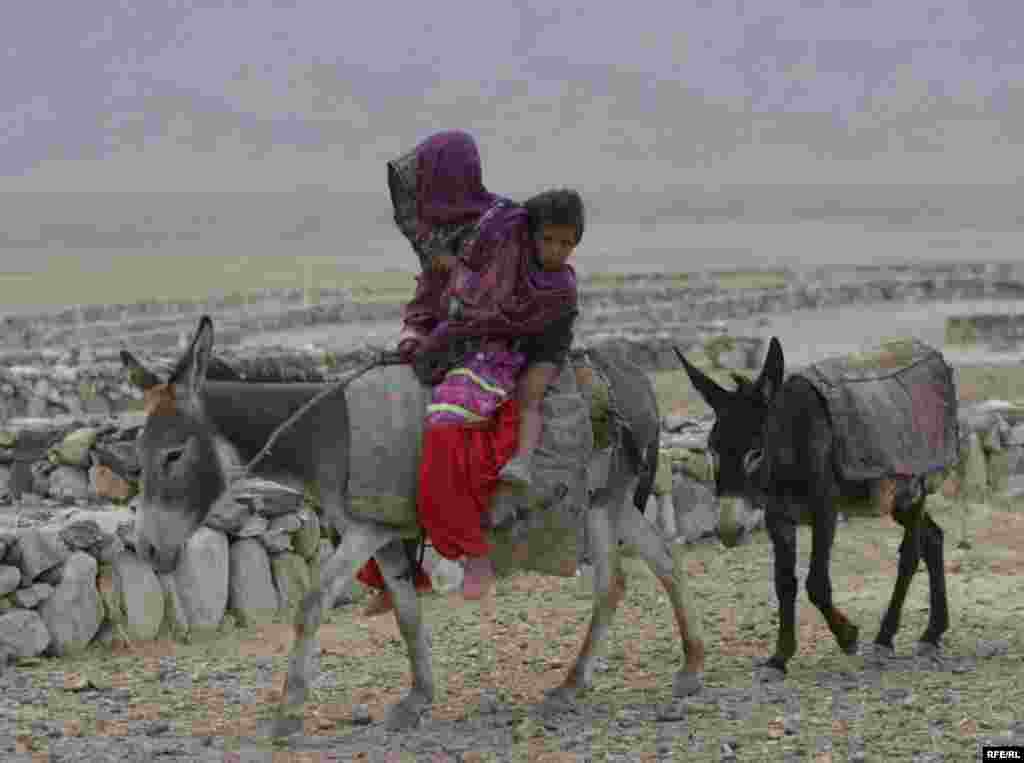 Rădăcinile talibanilor #69