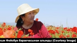 Зинакан Пасаңова