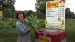 Ни кассира, ни охранника: как в Германии торгуют цветами