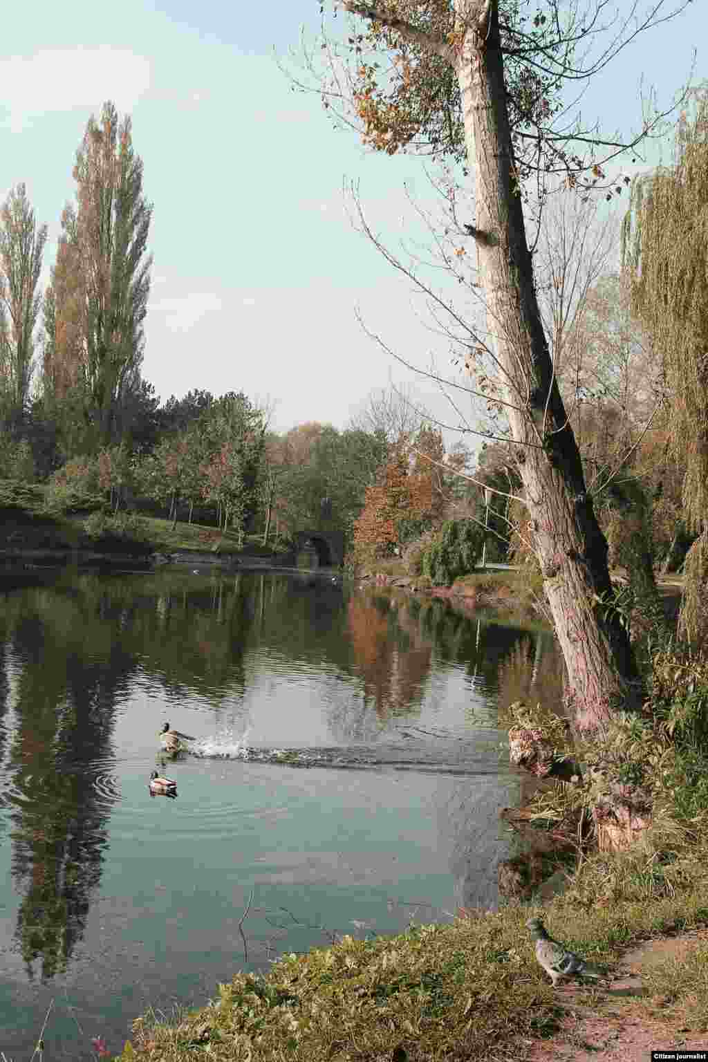 Австри, Вена, Wasserpark. Эрсно Казбекан сурт. 
