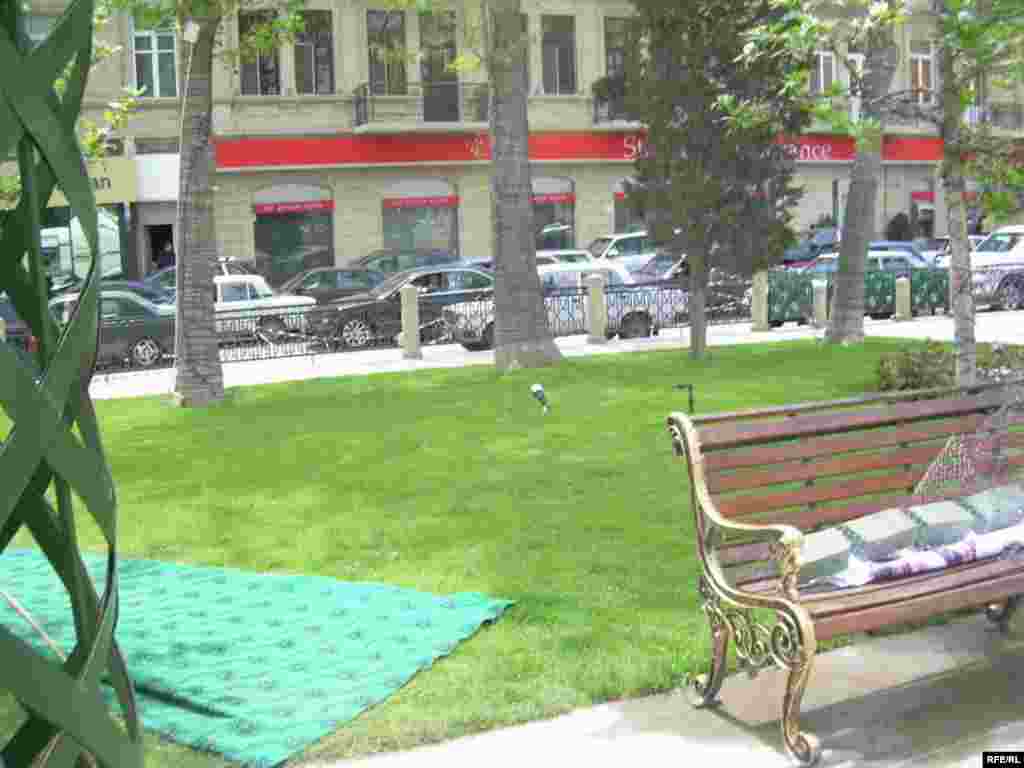 Bakıda gül bayramına hazırlıq gedir #11