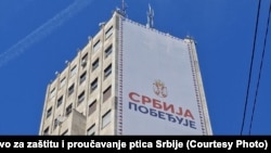 Plakat sa natpisom "Srbija pobeđuje" postavljen je na Palati Albanija 28. maja. Društva za zaštitu prirode ukazuju da je blokirao pristup gnezdima retke zaštićene ptice -bele čiope.