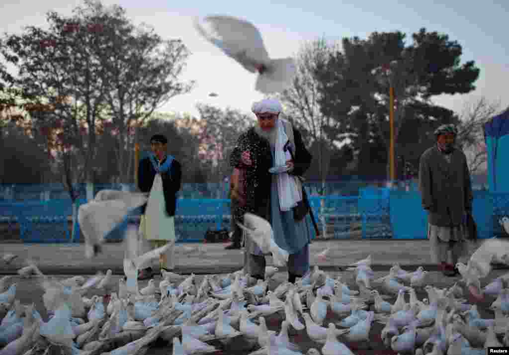 An Afghan man feeds pigeons in the yard of the shrine of Imam Ali, son in-law of Prophet Muhammad, in the city of Mazar-e Sharif. (Reuters/Ahmad Masood)