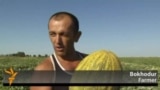 Uzbek Farmers Harvest Their Famous Melons