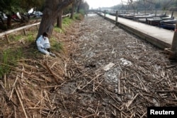 Parcul natural Albufera, de lângă Valencia, sufocat de gunoaiele aduse de viitura din octombrie.