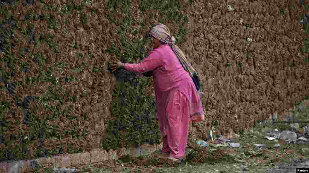 A woman pastes cow dung cakes on a wall on the outskirts of Lahore, Pakistan. The dung is used as cooking fuel. (REUTERS/Mohsin Raza)