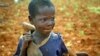 Povećanje od 14 procenata rada djece u posljednjih deset godina objašnjava se povećanjem ukupne proizvodnje kakaovca od 62 procenta.