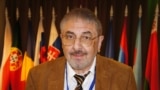 Vladimir Socor 