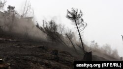 Іле алатау ұлттық паркінің өрттен кейінгі жағдайы. Алматы, 7 қыркүйек 2012 жыл. (Көрнекі сурет).