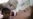 Polio Epidemic in Tajikistan 'Almost Over'
