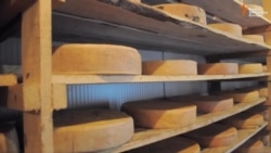 Foča: Proizvodnja sira po švicarskoj recepturi