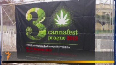 Фестиваль конопли в праге самые высокие сорта конопли