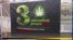 Фестиваль конопли Cannafest в Праге
