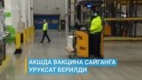 АКШда вакцина сайганга уруксат берилди