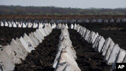 Протитанковий комплекс, відомий як «зуби дракона», на полі поблизу російського кордону в Харківській області, Україна, 17 квітня 2024 року