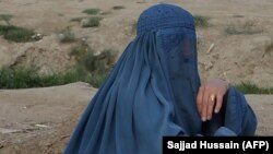 عکس جنبه تزئینی دارد