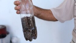 'Tələyə düşən' 1 milyon AZN: Həşəratları yox edəcəkdi, amma işə yaramadı