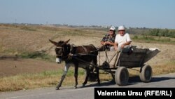 Kombinacija suše i visokih temperatura u Crnoj Gori posljednja tri mjeseca prepolovila je usjeve (ilustrativna fotografija)