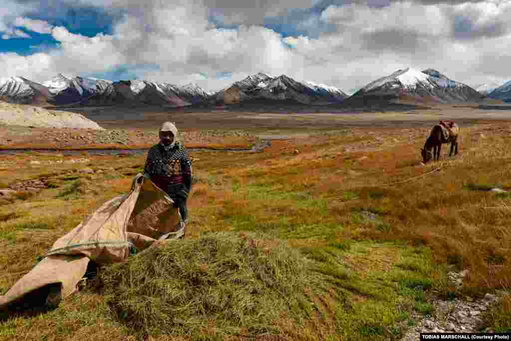 Irrigated fields of hay are cut by hand at the end of the summer, providing fodder for livestock through the winter when ice covers the vegetation. &nbsp; 