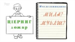 «Нохчийн грамматика 3 минотехь (кхоалгIа дарс, цIердешан цIерниг дожар)»