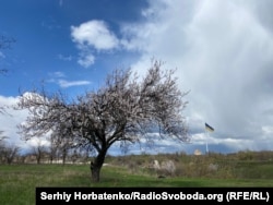 Цвітіння абрикосів у Краматорську і найвищий флагшток із найбільшим прапором на Донеччині, 9 квітня 2026 року