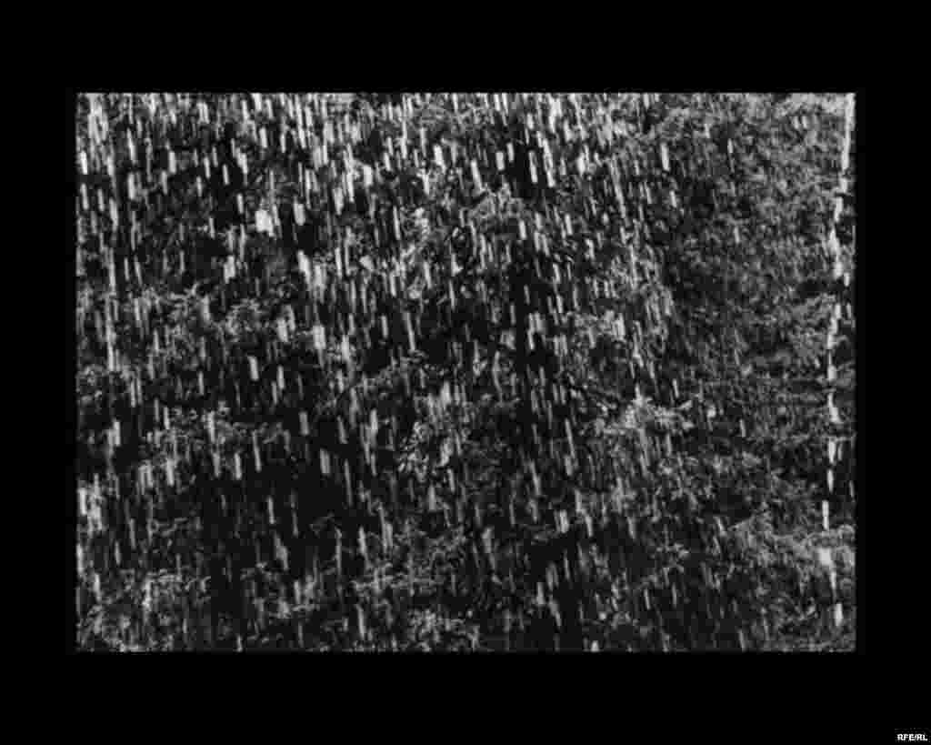 Kënga e fundit e akullnajës #19