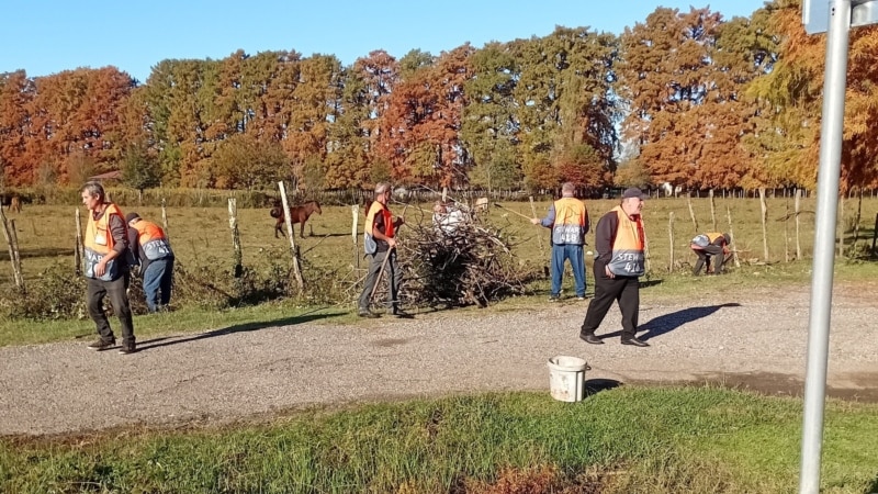 2026 წლიდან წყდება სოციალურად დაუცველთა დასაქმების 300-ლარიანი პროგრამა - მიზეზად „შრომის ბაზარზე დეფიციტი“ სახელდება