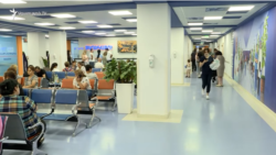 Առաջին փուլում՝ 1 միլիոն 600 հազար մարդ. ինչպե՞ս է սկսելու գործել առողջության ապահովագրությունը