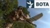 Në vijën e frontit, njësiti ukrainas i dronëve gjahton trupa ruse