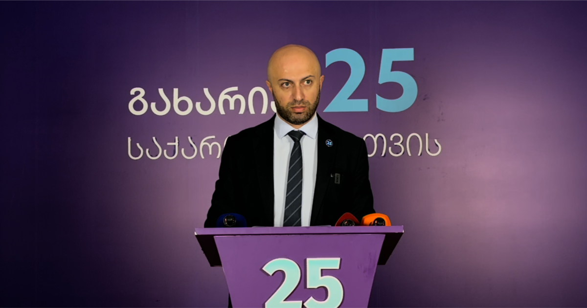 გახარიას პარტია მოითხოვს, საკონსტიტუციომ მათი აკრძალვის საკითხი ცალკე განიხილოს