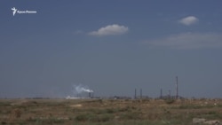 «Все в какой-то маслянистой гадости»: на севере Крыма страдают от выброса неизвестного вещества (видео)