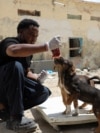 SOMALIA-ANIMALS/CARER