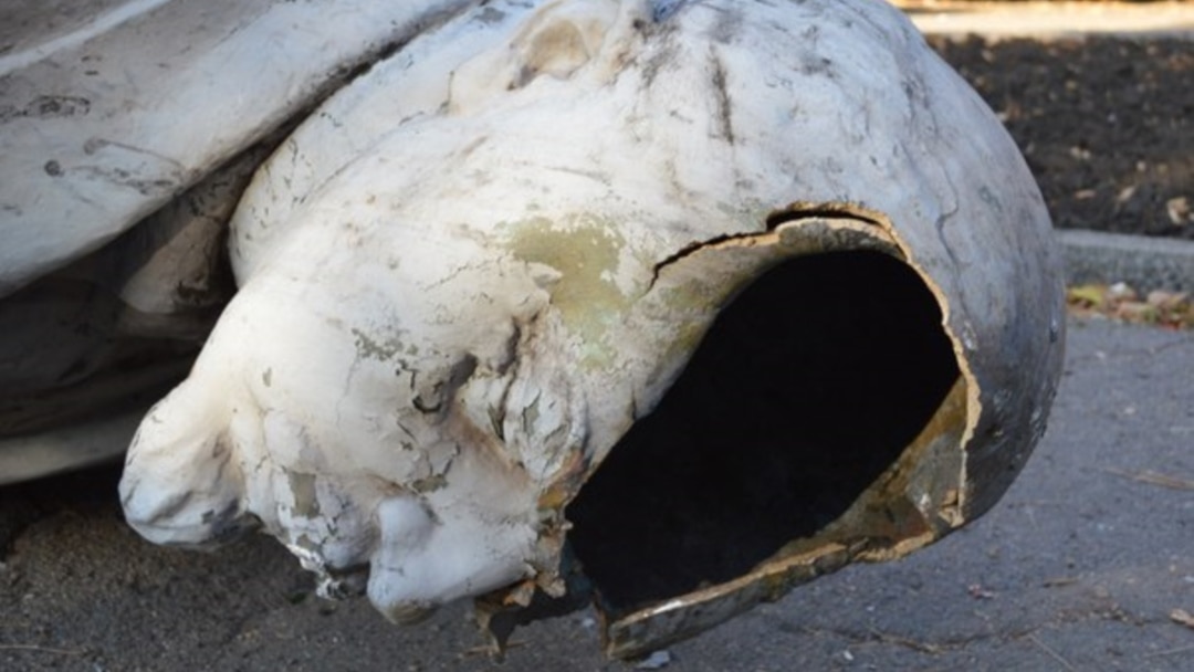 Үлкен кеуделері бар жетілген порно