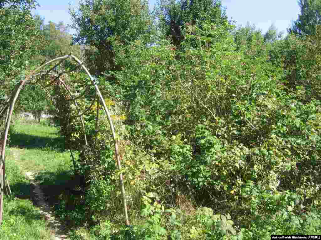 Fotografije: Ankica Barbir Mladinović i arhiv Eko sela Blatu&scaron;a