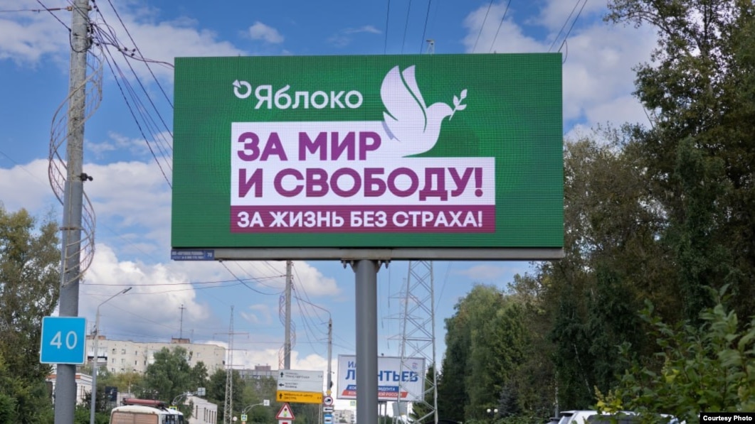 Суд снял с выборов кандидата "Яблока" в Госдуму из Сочи Владимира Атаманчука