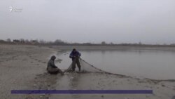 Соҳибкорони хатлонӣ мегӯянд, имсол соли моҳӣ аст