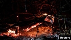 Un incendiu de pădure face ravagii în Le Vaudoue, lângă Paris, pe 13 iulie.