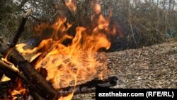 Illýustrasiýa suraty