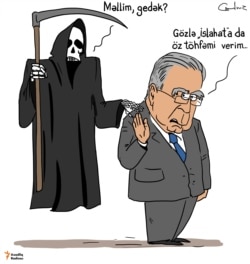 İslahata töhfə