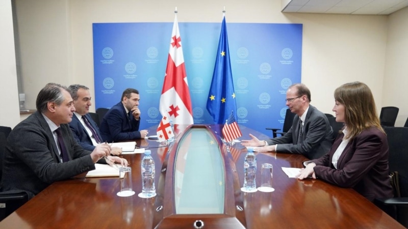 ლაშა დარსალია აშშ-ის ელჩის მოვალეობის შემსრულებელს შეხვდა