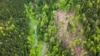 Guvernul român a aprobat în aprilie 2025 defrișarea a peste 30 de hectare de pădure pentru finalizarea hidrocentralei și a lacului de acumulare de la Răstolița, în apropierea parcului național Călimani.