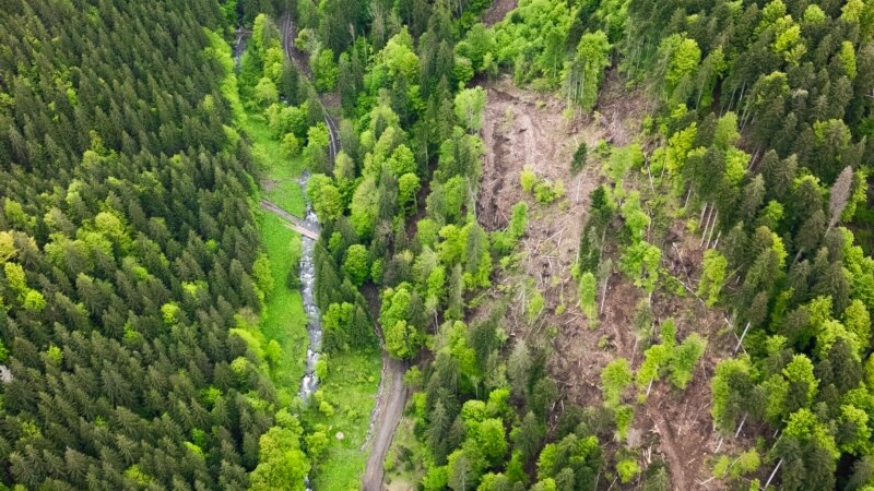 Au început defrișările pentru hidroecentrala Răstolița. Activiștii reclamă ilegalități. Cum răspunde statul