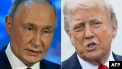 V.Putin və D.Tramp